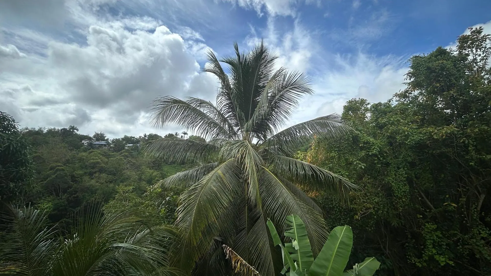 Jadelys Loc Villa Sainte-Anne  Guadeloupe